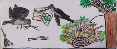 Picture  of Shreyasi Sharma